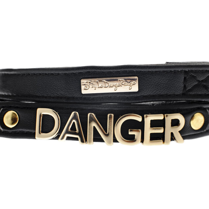 Danger dog leash
