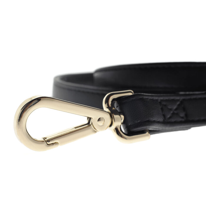 Danger dog leash
