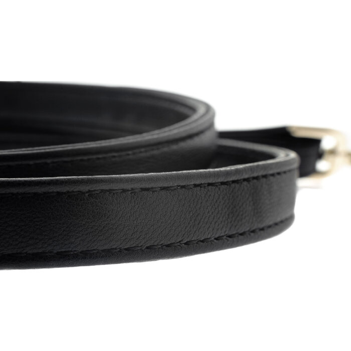 Danger dog leash
