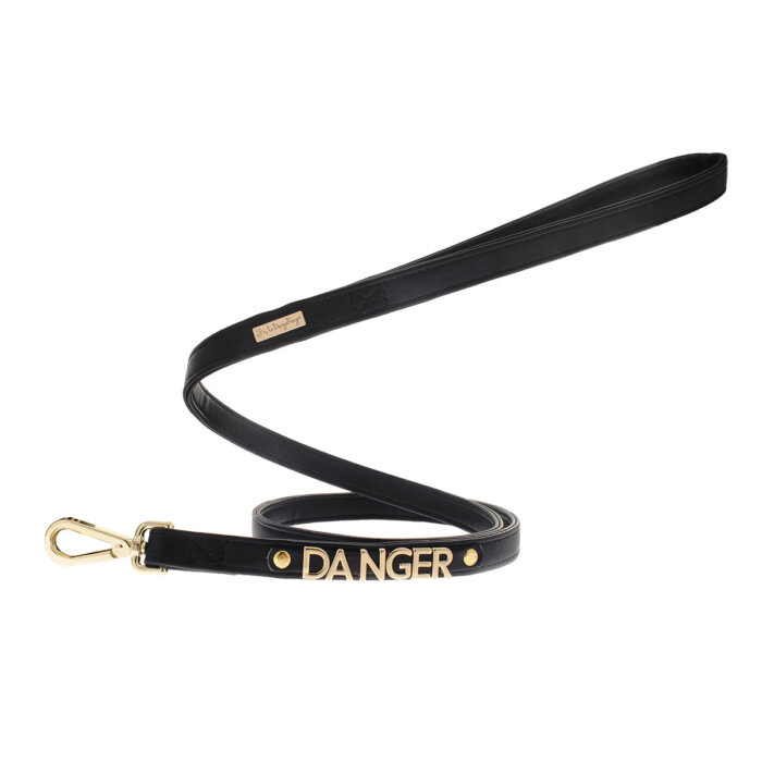 Danger dog leash